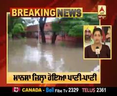 Breaking : ਭਾਰੀ ਮੀਂਹ ਨਾਲ ਮਾਨਸਾ ਦੇ DC ਦਾ ਘਰ ਬਣਿਆਂ ਸਵੀਮਿੰਗ ਪੂੂਲ,ਪ੍ਰਸ਼ਾਸ਼ਨ ਦੀ ਖੁੱਲੀ ਪੋਲ 