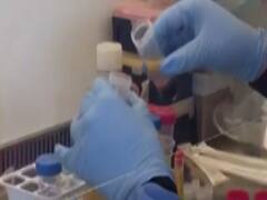 Race for Covid-19 vaccine gains momentum