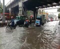 Mumbai Rains | हिंदमाता, किंग्जसर्कलच्या सखल भागात पाणी साचलं; 48 तासात जोरदार पावसाची शक्यता