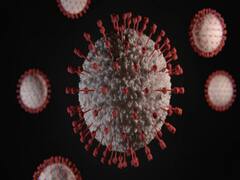 Karnataka: What is 'Kadha Movement' of Rs 4 Cr against Covid? 