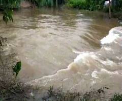 বেহুলা নদীর অস্থায়ী রিং বাঁধ ভেঙে প্লাবিত মালদার গাজোল, সড়ক যোগাযোগ বিচ্ছিন্ন