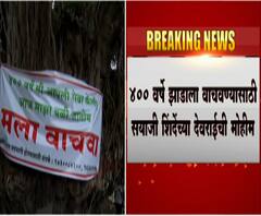 माझा इम्पॅक्ट | सांगलीतील 400 वर्ष जुन्या वटवृक्षासाठी पर्यावरण मंत्री आदित्य ठाकरे यांचा पुढाकार