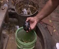 Vikas Dubey Encounter | एन्काऊंटरनंतर विकास दुबेच्या बिखरू गावात तपासादरम्यान 7 हातबॉम्ब सापडले