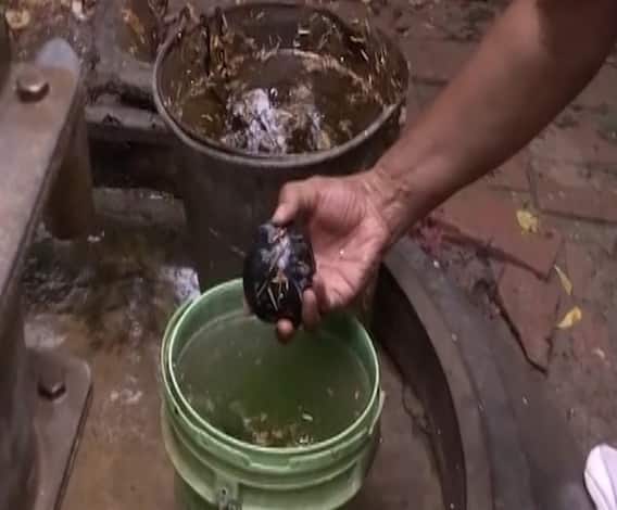 Vikas Dubey Encounter | एन्काऊंटरनंतर विकास दुबेच्या बिखरू गावात तपासादरम्यान 7 हातबॉम्ब सापडले