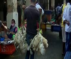 Gatari Celebration! जनता गटारीत दंग,सोशल डिस्टन्सिंग भंग! कोरोनाच्या संकटातली गटारी | स्पेशल रिपोर्ट