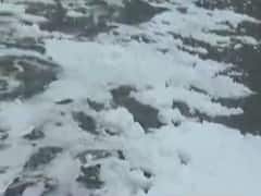 જેતપુર: લુણાગરામાં નદીમાં છોડવામાં આવી રહ્યું છે કેમિકલયુક્ત પાણી, જુઓ વીડિયો 