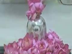  શ્રાવણ મહિનાના પ્રથમ સોમવારે સોશિયલ ડિસ્ટન્સિંગ સાથે શિવાલયોમાં ભક્તો પહોંચ્યા