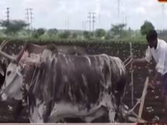 Couples resume work in fields after TikTok ban, stand by govt's decision