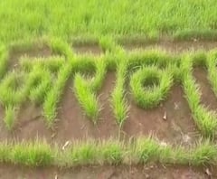 Rural News | माझं गाव माझा जिल्हा | राज्याच्या कानाकोपऱ्यातील बातम्यांचा आढावा 