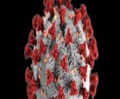 রাজ্যে একদিনে করোনা আক্রান্ত ১৫৬০, কলকাতাতে ২৪ ঘণ্টায় সংক্রমিত ৪৫৪ – দেখুন ‘শিরোনাম’