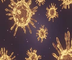 #Corona बुधवार पेठेत कोरोनाचा शिरकाव नाही, एकही कोरोना रुग्ण नसलेला झोन | स्पेशल रिपोर्ट