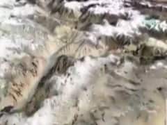 India-China Talks Updates: China not showing positive outcomes? 