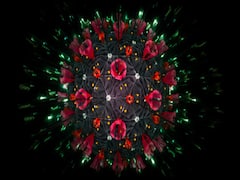 J&K BJP Chief Ravindra Raina tests Coronavirus positive