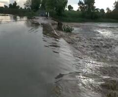 Monsoon 2020 | बीड जिल्ह्यातील वडवणी तालुक्यात मुसळधार; देवडी गावातील सिंदफणा नदी दुथडी भरुन