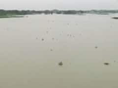Bihar: Water level of Gandak river increasing continuously