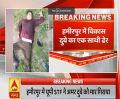 Hamirpur में Vikas Dubey का साथी Amar Dubey ढेर, UP STF ने मार गिराया