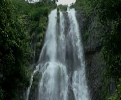 Rural News | माझं गाव माझा जिल्हा | राज्याच्या कानाकोपऱ्यातील बातम्यांचा आढावा 