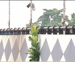  'অযত্নে' বটগাছ গজিয়েছে উল্টোডাঙা উড়ালপুলে, উদ্বিগ্ন পুরমন্ত্রী ফিরহাদ হাকিম