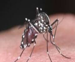 নিকাশি সমস্যা, তাই সরেনি বৃষ্টির জল! হালিশহরের ১৬ নম্বর ওয়ার্ডে ডেঙ্গি আতঙ্ক