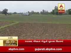 દાહોદ જિલ્લાના અનેક તાલુકાઓમાં વરસાદ ખેંચાયો, ખેડૂતો ચિંતામાં મુકાયા, જુઓ વીડિયો 