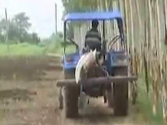 વડોદરા: વરસાદ ખેંચાતા સાવલીના ખેડૂતો ચિંતિત, પાકને નુકસાન થવાની શક્યતા, જુઓ વીડિયો 