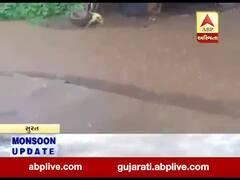 સુરત: માંગરોળના વાંકલ, ઝંખવાવ સહિતના ગામડાઓમાં વરસાદી ઝાપટા, જુઓ વીડિયો