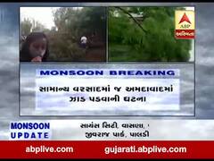 અમદાવાદ મનપાની પ્રિ-મોનસૂનની ખુલી પોલ, નારણપુરા ચાર રસ્તા પાસે પડ્યું ઝાડ