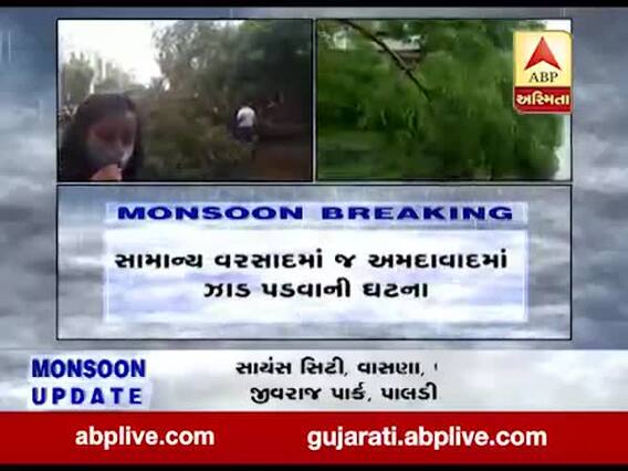 અમદાવાદ મનપાની પ્રિ-મોનસૂનની ખુલી પોલ, નારણપુરા ચાર રસ્તા પાસે પડ્યું ઝાડ
