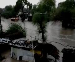 Monsoon Update | अमरावतीच्या ग्रामीण भागात मुसळधार; थिलोरी गावात नाला फुटल्याने गाव जलमय