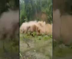 Nepal | नेपाळच्या काठमांडूमध्ये पावसाचा कहर; भूस्खलन, दरडी कोसळ्याच्या घटना