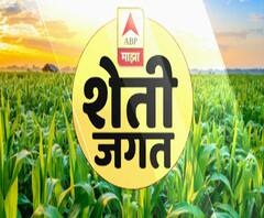 शेती जगत | शेती क्षेत्रातील घडामोडींचा वेगवान आढावा | गावागावात काय आहे शेतीची परिस्थिती? 29जुलै2020