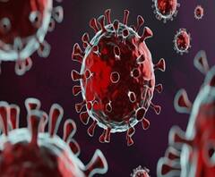 Pimpri Corona Deaths | कोरोनानं घेतला तीन वयोवृद्ध भावंडांचा बळी, एकाच कुटुंबात 18 जणांना लागण,कोरोनामुळं दु:खाचा डोंगर 