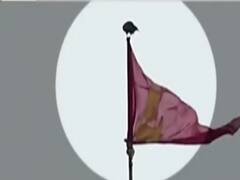 Puri Jagannath मंदिर के पताके पर बाज़ का बैठना, शुभ या अशुभ?