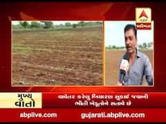 છોટાઉદેપુરમાં વરસાદ ખેંચાતા ખેડૂતો ચિંતિત, વાવેતર કરેલું બિયારણ સુકાઇ જવાની ભીતી
