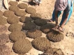 Chattisgarh govt's initiative to purchase cow dung is commendable, says a viewer