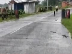 Nepal Police shot three Indians near Bihar border