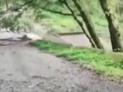 Part of bridge washes away in Pithoragarh post heavy rainfall