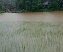 Rural News | सिंधुदुर्गातील तिलारी धरमातून विसर्ग, नदीकाठी खबरदारीचा इशारा | माझं गाव माझा जिल्हा 