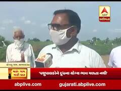 મારું ગામ,મારી વાત: ડેરીએ દૂધના ભાવ ઘટાડતા પ્રાતિંજના પોગલુ ગામના ખેડૂતો શું કહી રહ્યાં છે ? જુઓ વીડિયો 