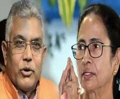 ৯৯ শতাংশ মানুষ ঘূর্ণিঝড়ের ক্ষতিপূরণ পেয়েছেন, দাবি মমতার, পেয়েছে শুধু তৃণমূলের লোক, কটাক্ষ দিলীপের