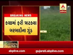 કચ્છના સુમરાસર પંથકમાં તીડનું આક્રમણ, ખેડૂતોની વધી ચિંતા