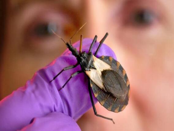 China: New virus spreads after COVID-19