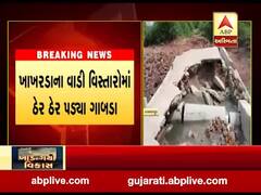 દેવભૂમિ દ્વારકાના કલ્યાણપુર તાલુકામાં ભારે વરસાદે સર્જી તારાજી, જુઓ વીડિયો 