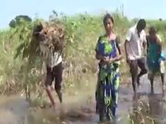 પાટણ જિલ્લામાં મેઘ તાંડવે તારાજી સર્જી, ખરીફ સીઝનનો પાક પાણીમાં ધોવાયો