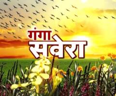 गंगा सवेरे : हर गांव, किस्बे और शहर की खबरें....गंगा सवेरे में | ABP Ganga