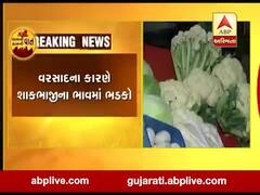 વરસાદના કારણે શાકભાજીના ભાવમાં ભડકો, ખેતરોમાં પાણી ભરાવાથી શાકનો તૈયાર પાક બગડ્યો