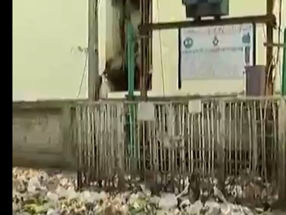 સ્વચ્છતા સર્વેક્ષણમાં રાજકોટ છઠ્ઠા ક્રમે પરંતુ જમીની હકિકત અલગ, શહેરના અનેક વિસ્તારો ગંદકીથી ખદબદ