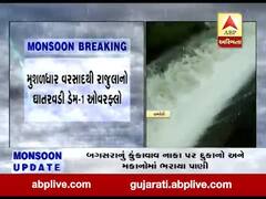 મુશળધાર વરસાદથી રાજુલાનો ધાતરવાડી ડેમ-1 ઓવરફ્લો, જુઓ વીડિયો