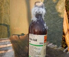 আজ বাংলায়: বদলি না হওয়ার 'আক্রোশ', অফিসে ঢুকে অতিরিক্ত জেলাশাসককে অ্যাসিড ছুঁড়ে মারার চেষ্টা গ্রাম পঞ্চায়েতের মহিলা কর্মীর!