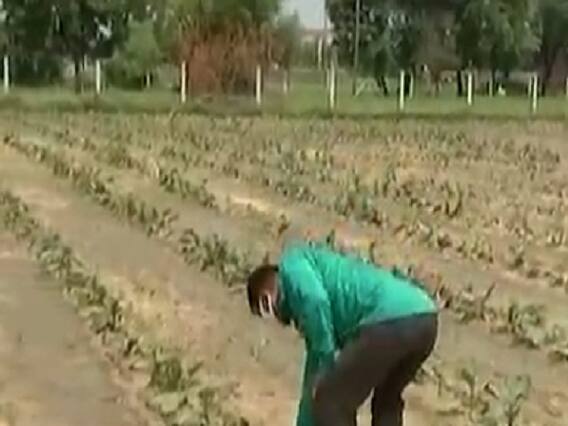 ગાંધીનગરના લવારપુર ગામના ખેડૂતો જમીન રિ-સર્વેની કામગીરીથી પરેશાન, જુઓ વીડિયો 